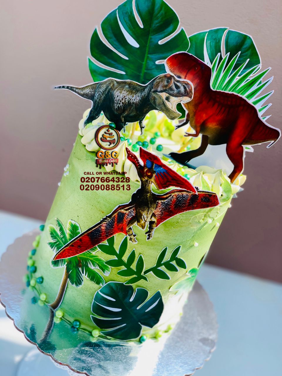 Image of 8 INCHES DINASOUR 4 LAYERS ROUND CAKE